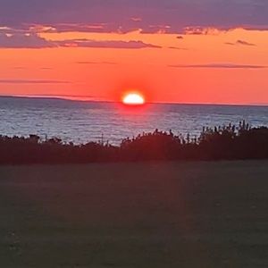 Meet your Posher, Leeann